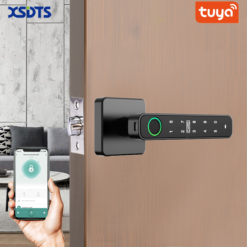 Smart Home Villa - XSDTS Tuya Handle Fingerprint Key Card