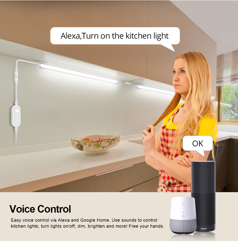 Wireless Tuya Wifi Switch 12V  - Smart Home Llm recension och pris