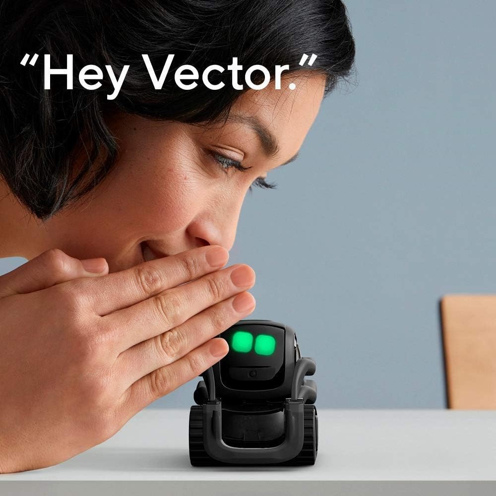 AI ChatGPT 2.0 Connected Robot - Smart Home Battery Camera recension och pris